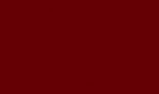 Панель глянцевая EVOGLOSS 18мм P107 Бордовый