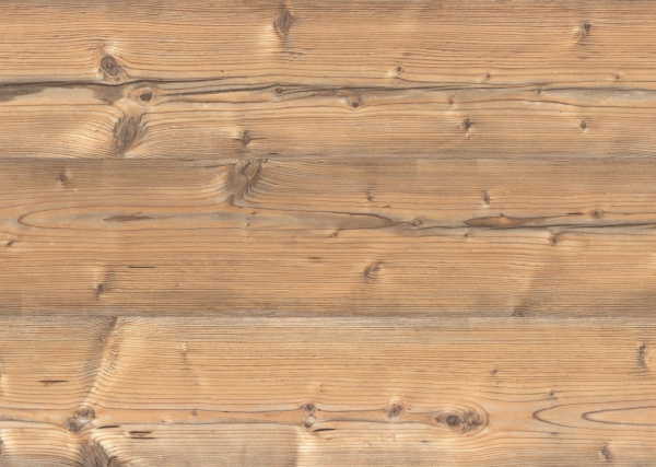 Столешница матовая 38х600х3000 Ель золотистая