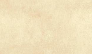 Кромка глянцевая 1х22 674 Земляной латте Турция