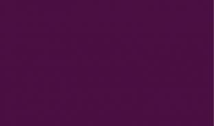 Панель глянцевая EVOGLOSS 18мм P105 Сливовый