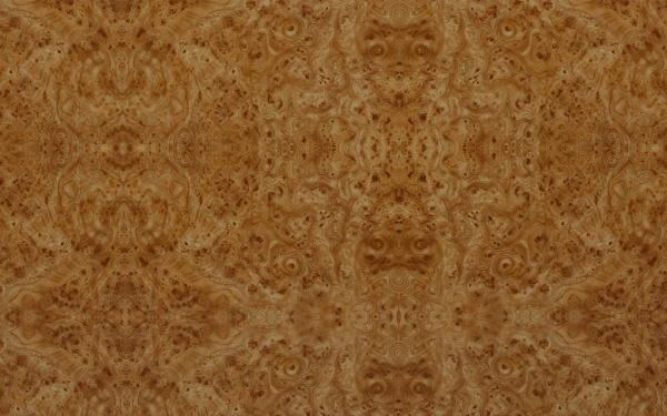 Щит матовый 6х600х3000 Корень вяза