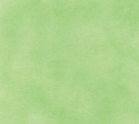 Профиль матовый 1004 Y Салатовый (301 Pastel yesil)
