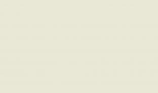 Панель глянцевая EVOGLOSS 18мм P212 Жемчужно-бежевый СНЯТ