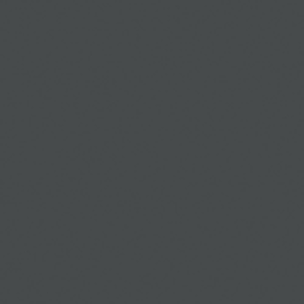 Панель глянцевая EVOGLOSS 8мм P110 Антрацит