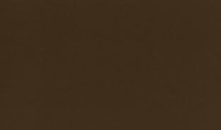 Панель матовая EVOGLOSS 18мм P733 Мокко