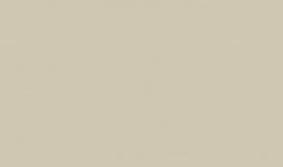 Панель матовая EVOGLOSS 8мм P729 Новый серый