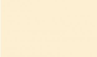 Кромка глянцевая 1х22 605 Крем (Р102 Кремовый) Турция