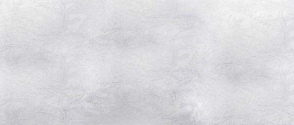 Плита 12мм*650*3000 Белый (тиснение «камень»)