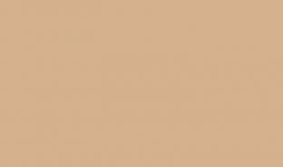 Панель глянцевая EVOGLOSS 8мм P103 Вижен