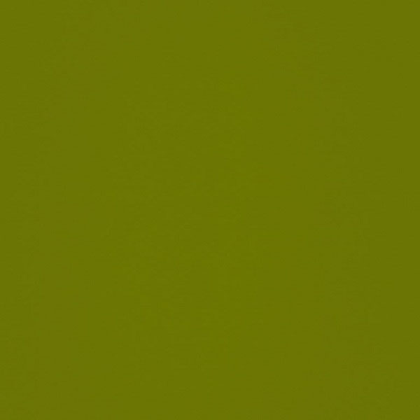 Кромка глянцевая 1х22 645 Олива зелёная (HG OLIVA GREEN) Турция