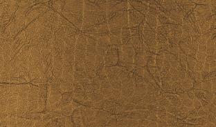 Панель глянцевая EVOGLOSS 8мм P216 Крокодил золотой