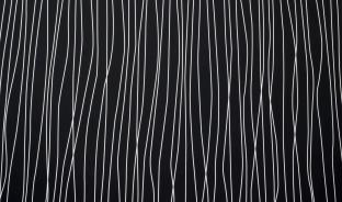 Панель глянцевая EVOGLOSS 18мм P201 Чёрная линия