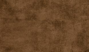 Кромка глянцевая 1х22 653 Терра коричневый (Р217 Кофейно-коричневый) Турция