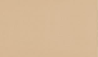 Панель матовая EVOGLOSS 10мм P732 Вижн