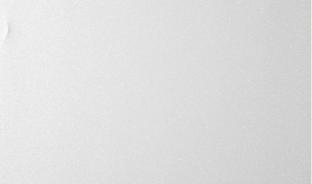 Панель глянцевая EVOGLOSS 10мм P208 Белая галактика