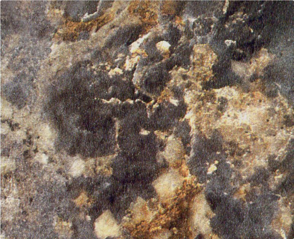 Столешница матовая 38х1200х3000 Королевский опал тёмный с двумя завалами (8)