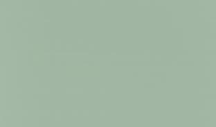 Кромка матовая 1х22 735 Зеленый шелк (Р010 Мята) Турция