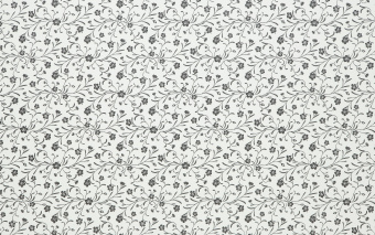 20802