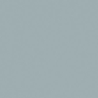 81006