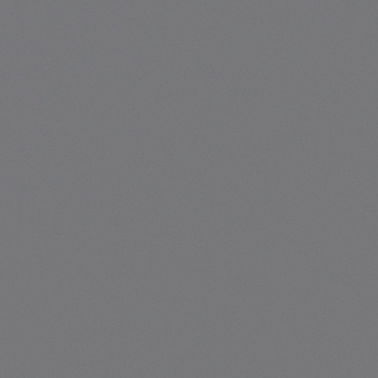 81007