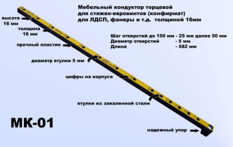 53005