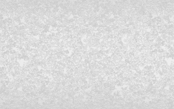 41004