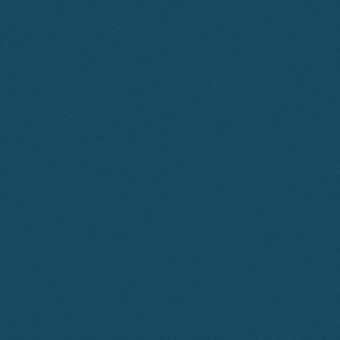 81009